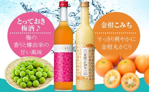 
AS-838　飲み比べ かごしま ほろよいセット（とっておき梅酒♪・金柑こみち） 各500ml 田苑酒造
