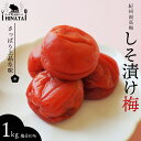 【ふるさと納税】日向屋の紀州南高梅 しそ漬け梅 1kg / 和歌山 田辺市 紀州南高梅 南高梅 梅干し 梅干 梅 うめ 肉厚 お米 おにぎり しそ漬け