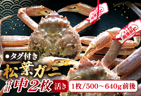 【活き】タグ付き松葉ガニ　中　2枚