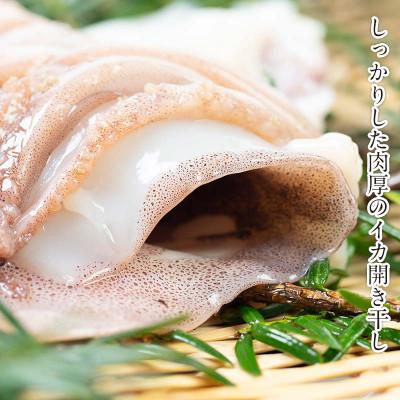 ふるさと納税 羅臼町 【2025年2月上旬発送】北海道羅臼町 大人気!北海道知床羅臼産いかの開き干し(3枚セット) |  | 01