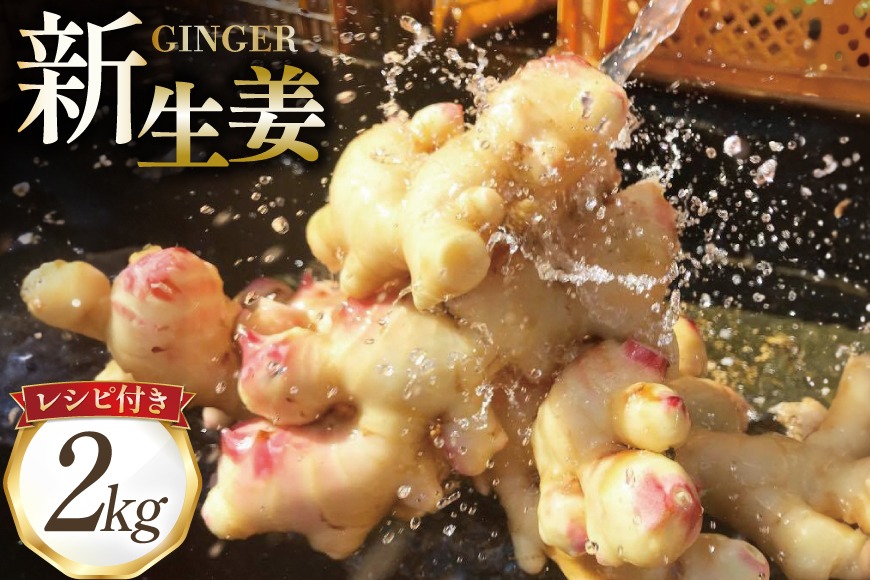 CI380 島原百年生姜 新生姜 2kg [ 生姜 しょうが ショウガ 野菜 やさい ジンジャー 薬味 国産 人作 長崎県 島原市 ]