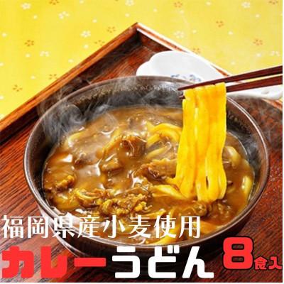 ふるさと納税 豊前市 【毎月定期便】カレーうどん 8食入り×全3回