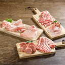 【ふるさと納税】萩むつみ豚 食べ比べセット（大）　肉の加工品・お肉・豚肉・ロース・モモ・食べ比べ・バラ・肩ロース・ヒレ