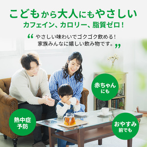 麦茶 GREEN DA・KA・RA やさしい麦茶 2L×6本 2箱 ペットボトル