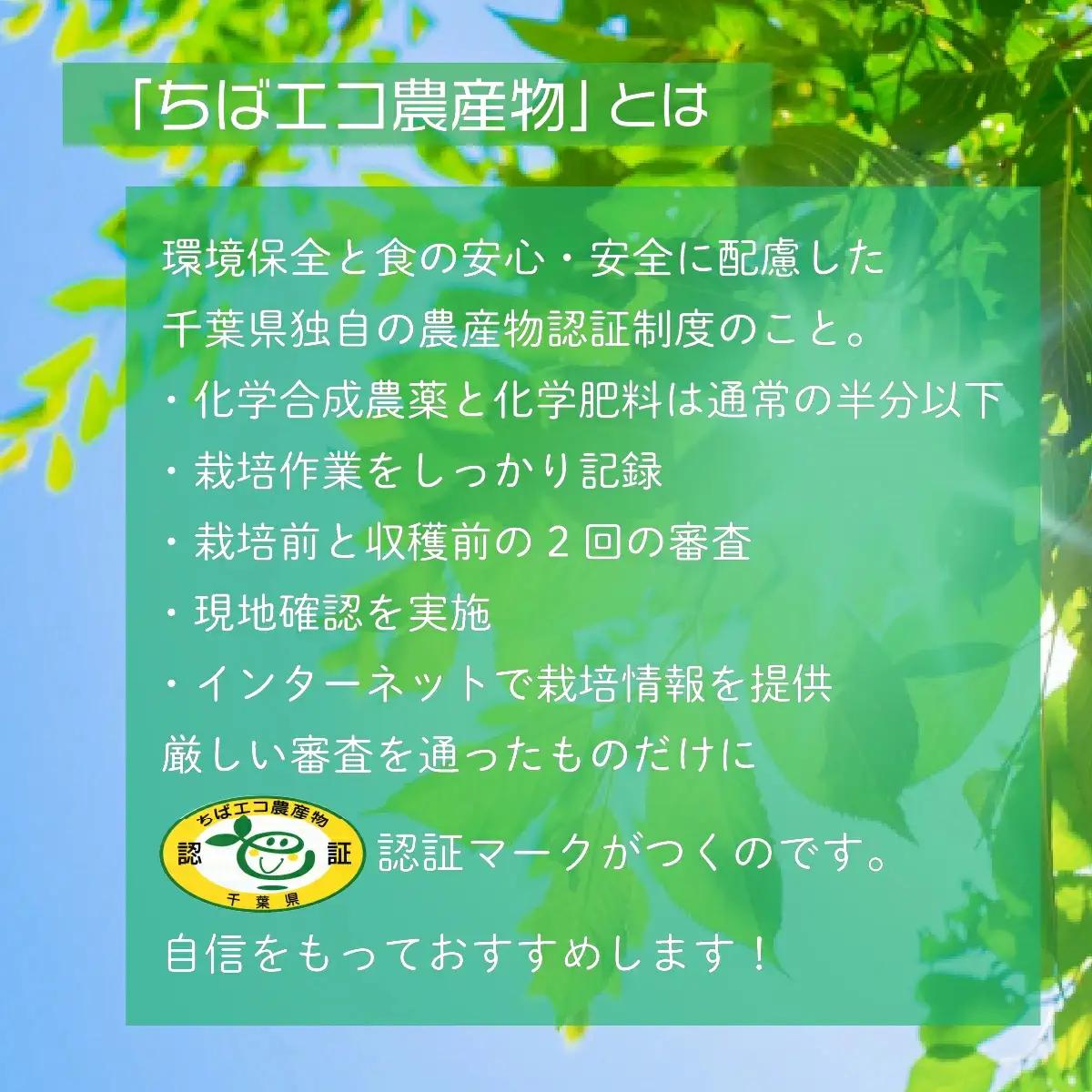 【ちばエコ農産物認証茶葉】房総みどり５本セット 【 ふるさと納税 人気 おすすめ ランキング お茶 緑茶 日本茶 茶葉 千葉県 大網白里市 送料無料 】H001