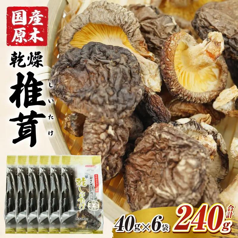 乾燥しいたけ 40g×6袋 240g　椎茸 小分け パック 小袋 個包装 個別包装 出汁取り 使い切り 使い勝手 普段使い お吸い物 きのこ キノコ類 干ししいたけ 乾しいたけ 原木栽培 乾燥しいたけ 常温 グルメ お取り寄せ おすすめ 宮崎県 高千穂町　_Tk004-039