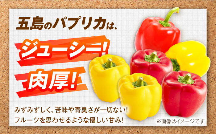 【全3回定期便】パプリカと旬の野菜・フルーツ詰め合わせ 五島市/HPIファーム [PCP012]