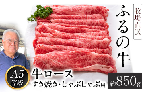 ふるの牛（黒毛和牛）ロースすき焼き・しゃぶしゃぶ用 850g A5 ミシュラン掲載《30日以内に出荷予定(土日祝除く)》