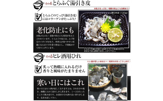 【若男水産】3年とらふぐ特選フルコースセット 豪華10点盛り(5～6人前) 