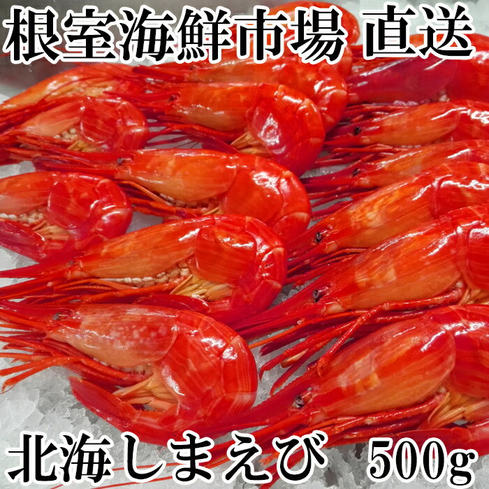 【ふるさと納税】 北海しまえび 500g × 1P エビ えび 海老 シマエビ 北海シマエビ しまえび 縞えび 縞エビ 縞海老 お取り寄せ グルメ 海鮮 ボイル 茹でえび 茹でエビ 茹で海老 ゆでえび ゆで海老 ゆでエビ 北海道 根室市 ふるさと納税 A-14270