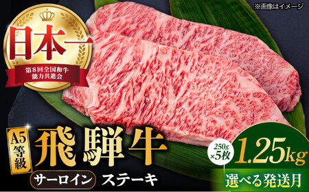 【7月発送】【飛騨牛】 A5等級 サーロイン ステーキ用 5枚 (計1.25kg) 和牛 ブランド牛 国産 牛肉 多治見市 / 渡辺精肉店 [TAZ002-7]