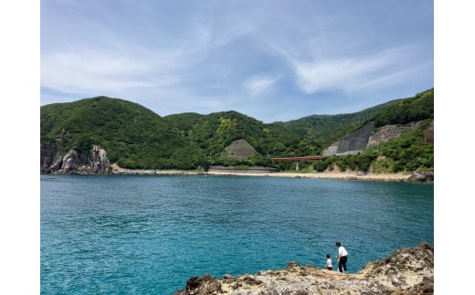 【夕方出発限定】家族で・カップルで楽しむ夕日を眺めながらいく無人島瀬渡しプラン【btm001】