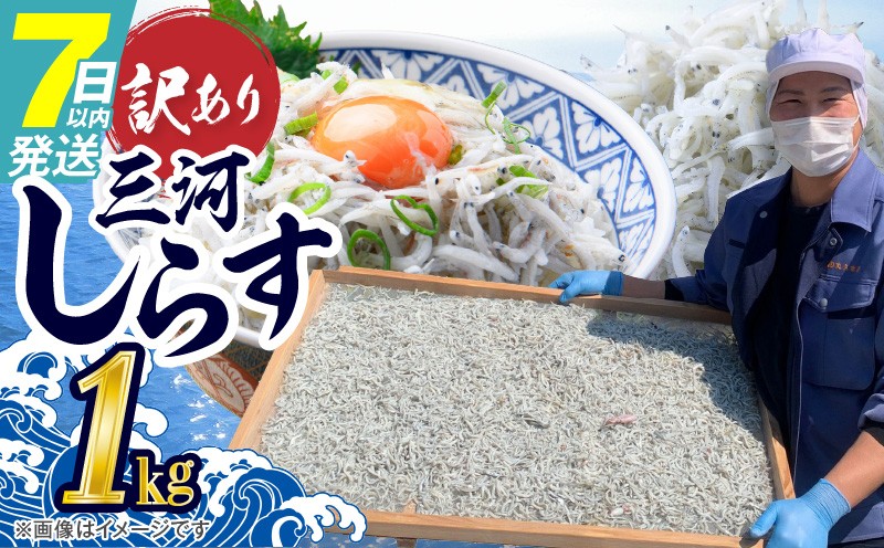 
            訳あり こモリ1kg！バラエティ豊富な三河しらす～海の仲間たち～ 魚介類 しらす シラス 国産 海の幸 ご飯のお供 おつまみ しらす丼 グルメやみつき 冷凍　H018-046
          