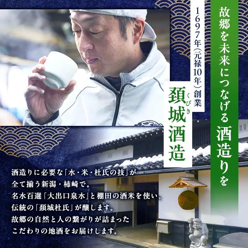 日本酒 【令和7酒造年度全国新酒鑑評会 金賞受賞】 越路乃紅梅 越淡麗 かたふね 純米大吟醸 720ml 2本 セット お酒 おすすめ 酒 ふるさと納税 新潟 新潟県産 にいがた 上越 上越産