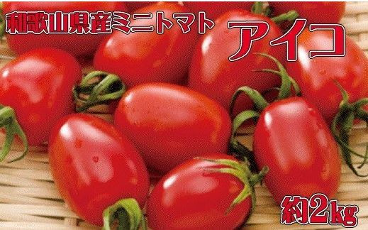 
和歌山産ミニトマト「アイコトマト」約2kg（S・Mサイズおまかせ）
