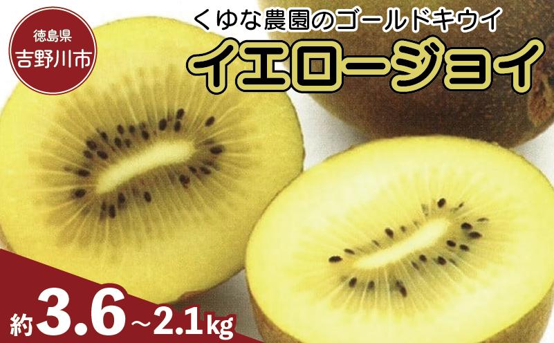 
            訳あり ゴールドキウイ 先行予約 約2.1～3.6kg 2025年11月上旬～発送 イエロージョイ キウイフルーツ キウイ フルーツ イエロージョイ 糖度 16度 期間限定 果物 ビタミンC 新鮮 旬 デザート 国産 ギフト 贈り物 送料無料 吉野川市 徳島県 くゆな農園
          