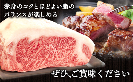 熊本県産 GI認証取得 くまもとあか牛 ロースブロック 1kg くまふる《45日以内に出荷予定(土日祝除く)》熊本県 長洲町 肉 牛肉 あか牛 赤牛 ロース ブロック 熊本県産 国産