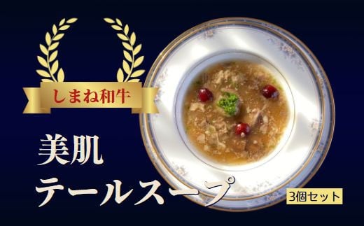 しまね和牛　美肌テールスープ   3食セット 【1_5-039】
