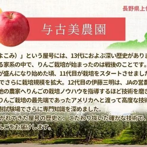 【2026年/令和8年発送分 】梨 長野 南水 約 3kg 信州の梨 フルーツ 果物 デザート おやつ なし ナシ なんすい ナンスイ 産地直送 長野県 長野県産 信州産 長野県箕輪町