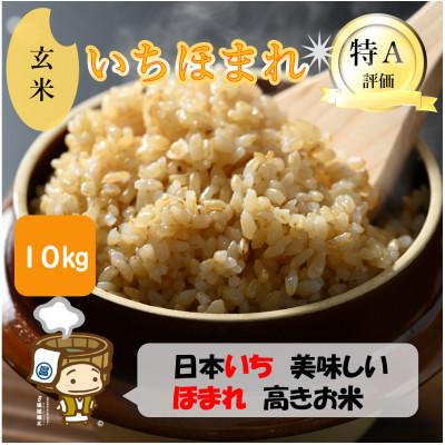 ふるさと納税 あわら市 【令和7年産】いちほまれ 玄米 5kg×2袋(計10kg)《新鮮な高品質米をお届け!》