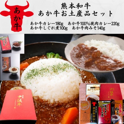 あか牛お土産セット(カレー180g、挽肉カレー220g、しぐれ煮100g、肉みそ140g)(宇城市)【1539395】