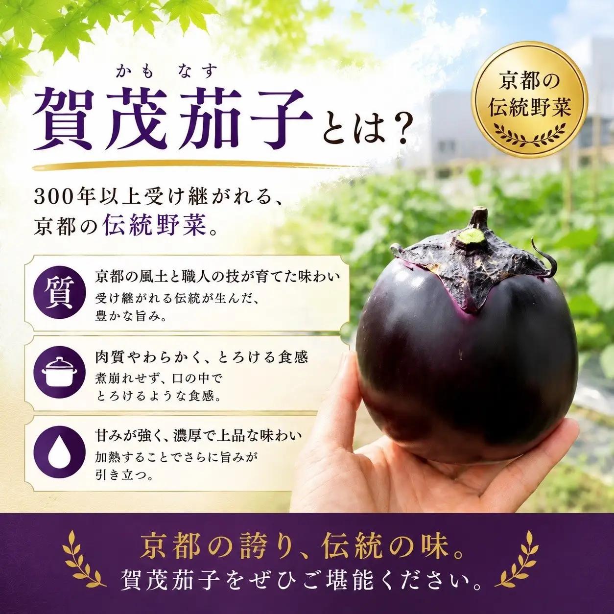 ＜3回定期便2026年7～9月発送＞賀茂茄子（京野菜）6個 約1.5kg×3回 ｜ 野菜
