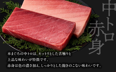 【 高島屋 バイヤー セレクション 】 天然 本まぐろ 詰合せ ＜ 梅 ＞ M038-004 冷凍 マグロ