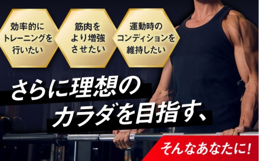 プロテイン【全3回定期便】ALPRON PRO WPI プロテイン 900g ダブルリッチチョコレート風味 1個 ダイエット タンパク質 筋肉 筋トレ 女性 男性 健康 美容 ホエイプロテイン 置き換
