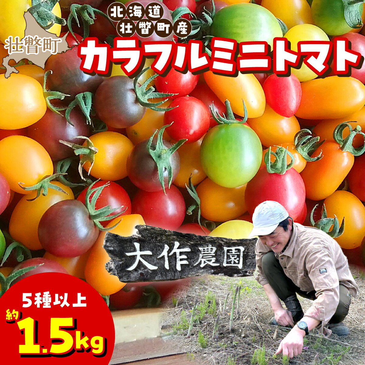 【ふるさと納税】北海道産 ミニトマト カラフル 約1.5kg 5種類以上 カラフルミニトマト 食べ比べ 濃い旨み 20種類から厳選 大作農園 北海道 壮瞥町 SBTR002