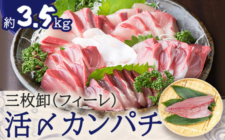 鹿児島県産 カンパチ 約3.5kg 三枚卸（ フィーレ ） 活〆 ※ 真空包装 K294-003_02 魚 魚介 新鮮 かんぱち 三枚卸 歯ごたえ 刺身 さしみ カルパッチョ しゃぶしゃぶ 焼き物 煮物 サカナカケルふるさと納税 鹿児島 おすすめ ランキング プレゼント ギフト
