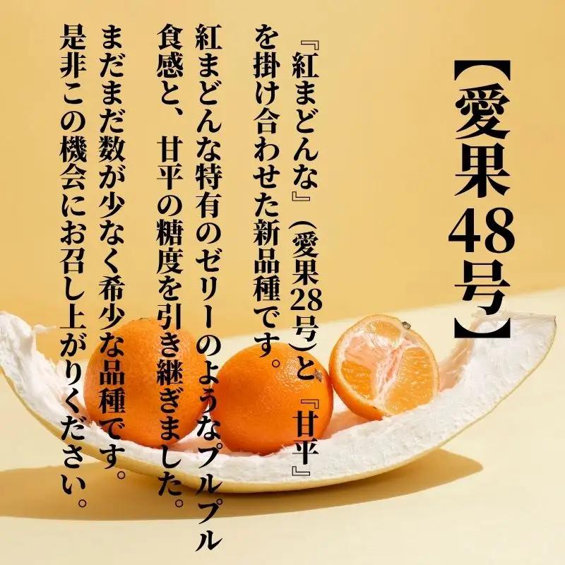 【2027年2月下旬頃から順次発送】愛果48号 家庭用 約2.5kg あいか 期間限定 みかん 柑橘 愛媛県産【PT049】