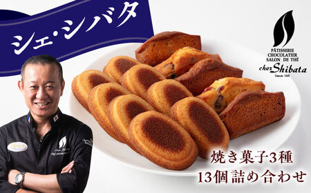 焼き菓子 詰め合わせ 13個入 多治見市 / シェ・シバタ スイーツ ギフト 焼き菓子 ヴィジタンティーヌ パウンドケーキ[TDH009]