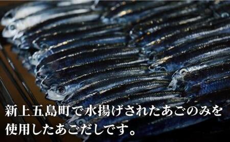 【上五島の伝統的な味をご家庭で】五島列島産 厳選 焼きあご 100g×6袋【新魚目町漁業協同組合】[RBC002]