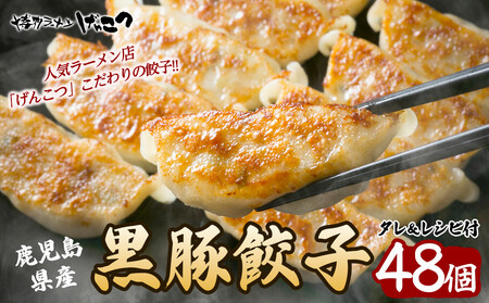 黒豚　冷凍餃子　48個