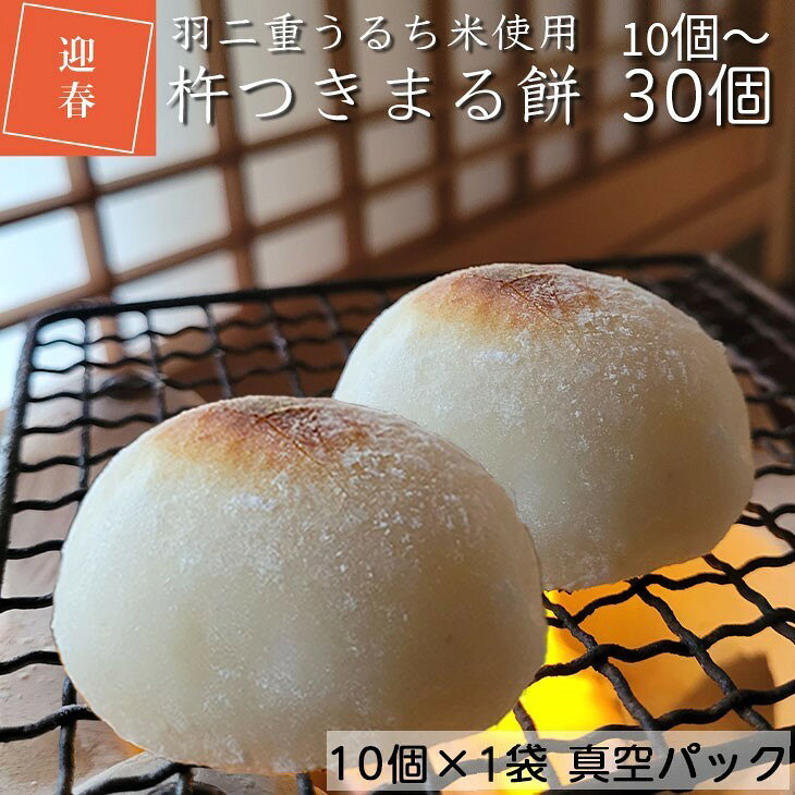 【ふるさと納税】お餅（丸餅・杵つき餅）10個 30個 選べる【1パック10個入り】＜京風料理 新橋謹製＞新羽二重糯米≪国産 京都 亀岡産 もち 小餅 新年 ぜんざい 大晦日 お正月 お雑煮 ≫