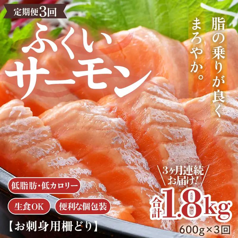 《定期便3回》ふくいサーモン 柵どり 150g×4パック 計600g ＜鮮度抜群！＞ ／サーモン 鮭 [aw002-f003]