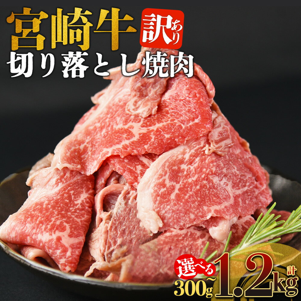 【ふるさと納税】＜訳あり 宮崎牛 切り落とし焼肉＞※入金確認後、14営業日以内に順次出荷 選べる 内容量 焼肉用 焼き肉 やきにく 訳アリ品 わけあり A5等級 ランク 高級 お肉 和牛 黒毛和牛 ブランド牛 柔らかい お家焼肉 BBQ バーベキュー ご褒美 新鮮 鮮度【冷凍】