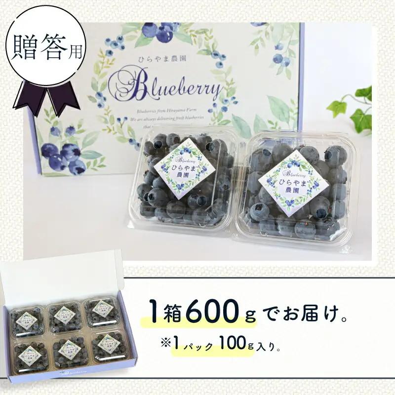 【先行予約】【全2回定期便】完熟生ブルーベリー （サザンハイブッシュ系）各600g（100ｇ×6パック） | フルーツ 果物 ベリー