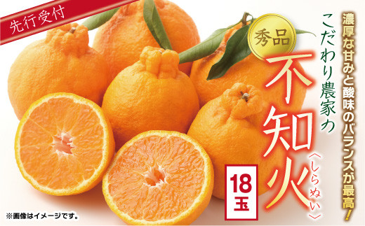 
            【先行予約】数量限定 こだわり家の秀品 不知火 18玉 ／  しらぬい 果物 フルーツ ギフト 贈り物 プレゼント 柑橘 くだもの 【2026年4月上旬より発送開始予定】
          