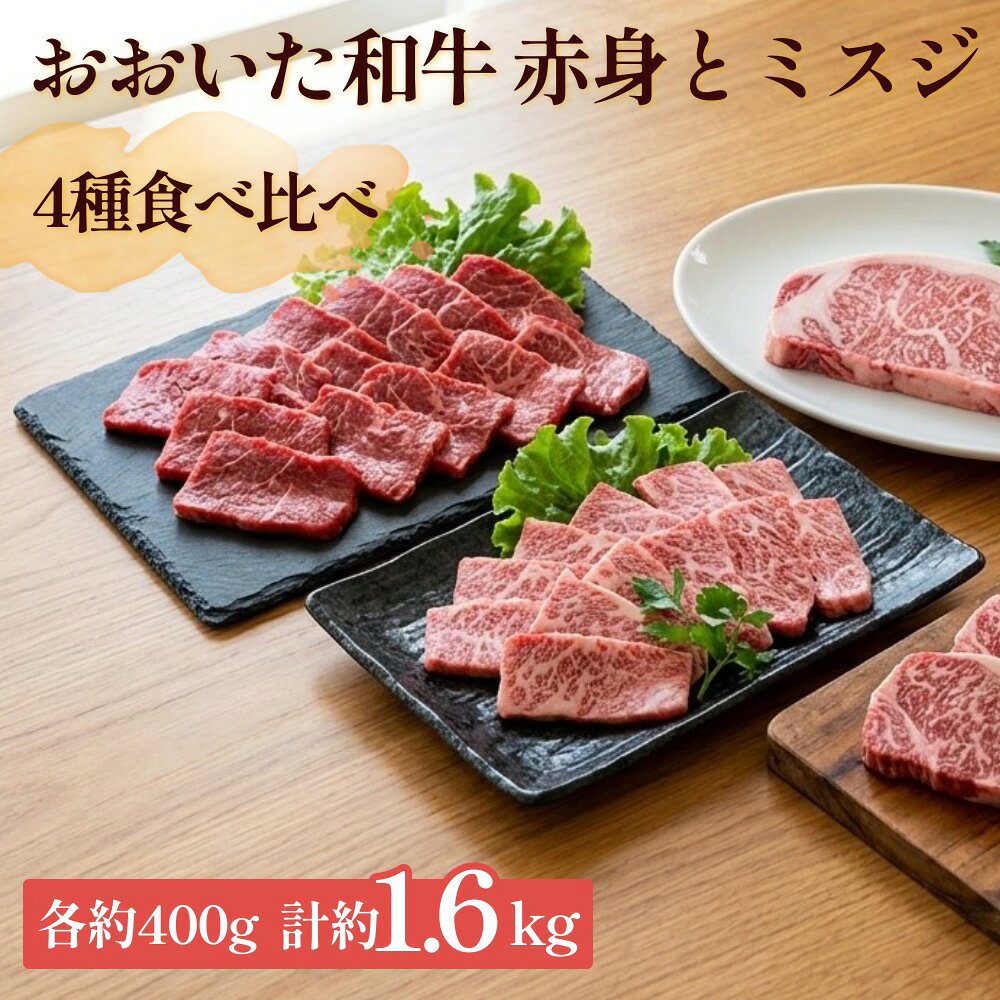 【ふるさと納税】【焼肉？ ステーキ？ 赤身とミスジを味わう！】 おおいた和牛