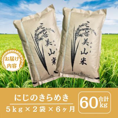 ふるさと納税 南丹市 【毎月定期便】にじのきらめき 精米 10kg(5kg×2袋) 美山町産 こと美山米全6回 |  | 01