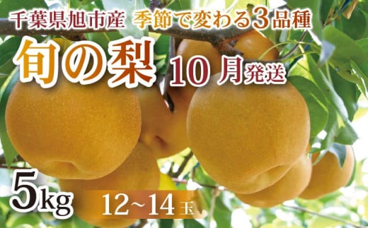 【 先行予約 】【 10月発送 】旬の梨 約5kg 幸水 豊水 あきづき 12 ～ 14玉 梨 なし 梨産地 甘い 旬 夏果物 2025年発送 先行予約 果肉 しゃりしゃり 水水しい みずみずしい 糖度 くだもの 果物 フルーツ 旬のフルーツ 冷蔵 ふるさと納税 産地 送料無料 千葉県 千葉 旭市 旭市産 まる吉園 mkn005