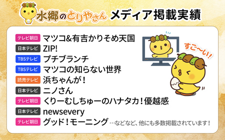 手羽先餃子 手羽 餃子 20本セット 水郷のとりやさん STS001_X1