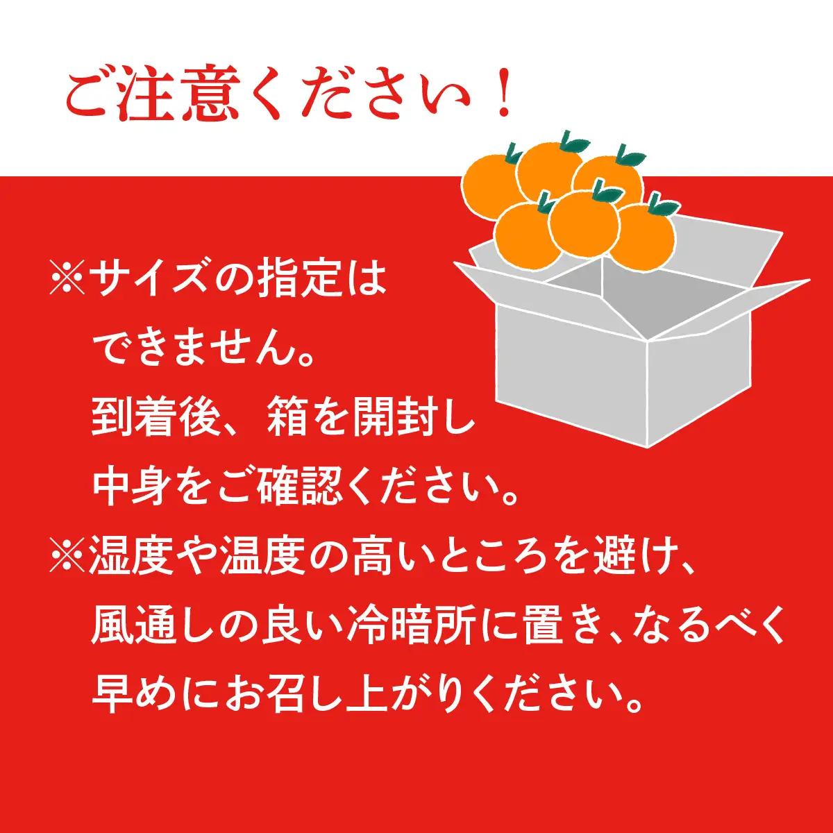 みかん ＜先行受付＞ 甘平 かんぺい レギュラー箱 5kg 愛媛