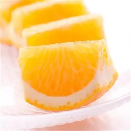 家庭用 はっさく5kg+250g(傷み補償分)【八朔みかん】【光センサー選別】【訳あり】【1241506】