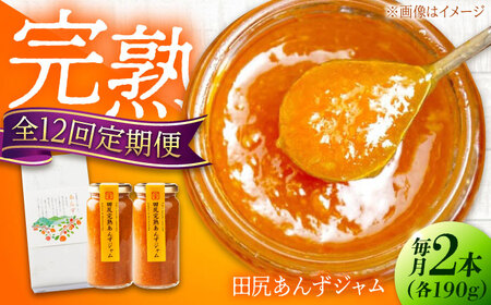 【全12回定期便】田尻完熟あんずジャム (2本)[BAFL014]ジャム