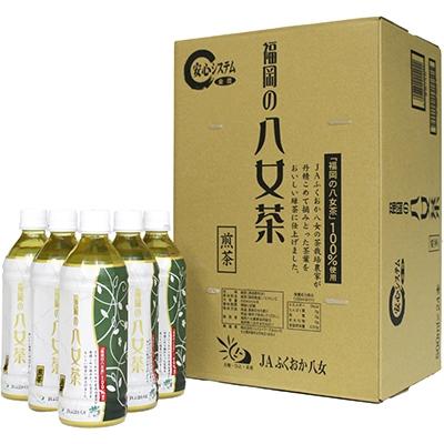 ふるさと納税 篠栗町 福岡の八女茶　煎茶ペットボトル(500ml)×24本