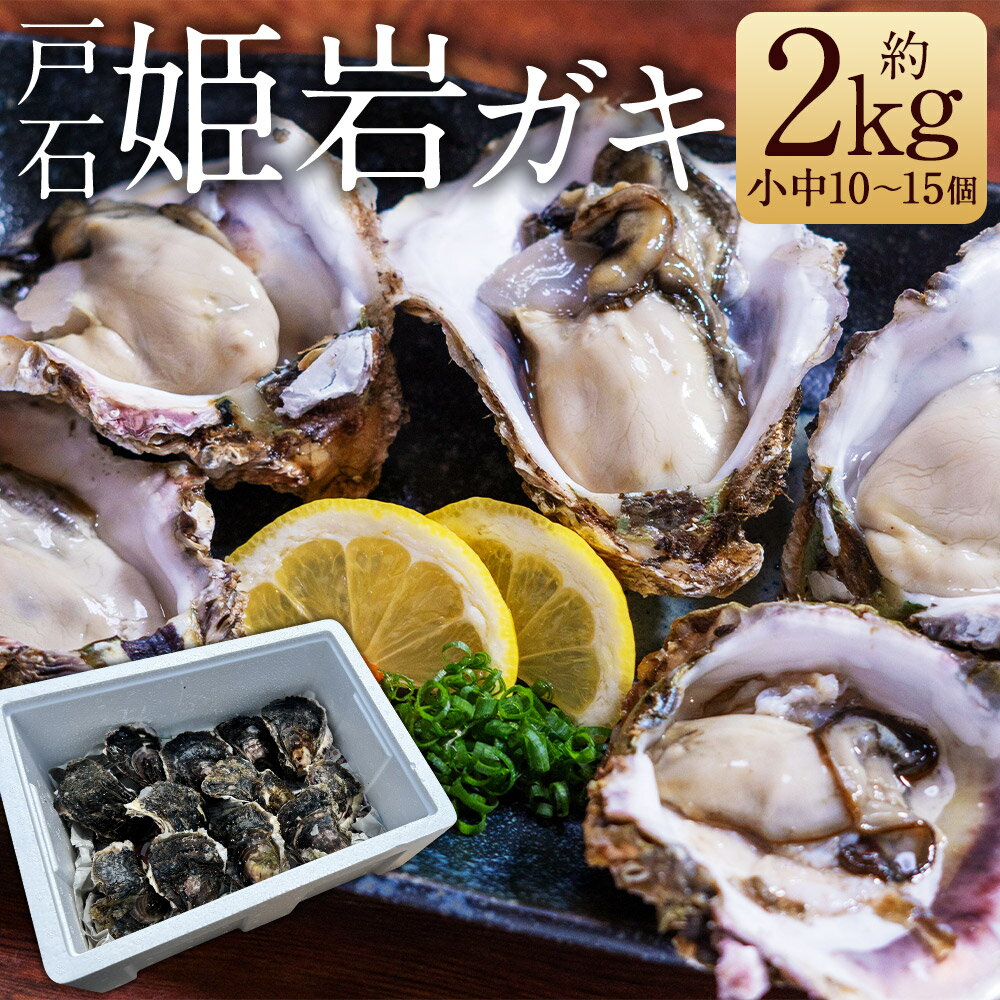 【ふるさと納税】戸石岩ガキ(姫岩ガキ) 生食用 約2kg 小中10～15個 殻付き 軍手・カキナイフ付き カキ 牡蠣 貝 貝類 海鮮 長崎市産 九州産 冷蔵 送料無料