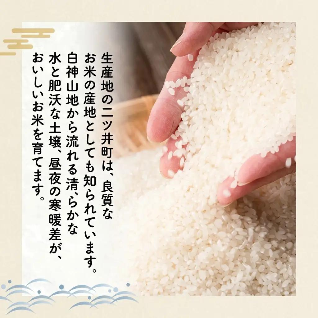 あきたこまち 精米 秋田県産 あきたこまち【2kg】