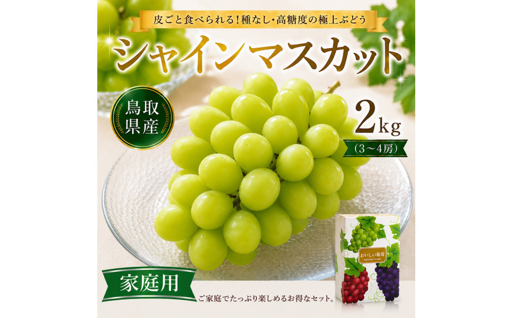 【鳥取県産】シャインマスカット 2kg （3～4房）家庭用【期間限定（9月20日まで）】 313726_CY024